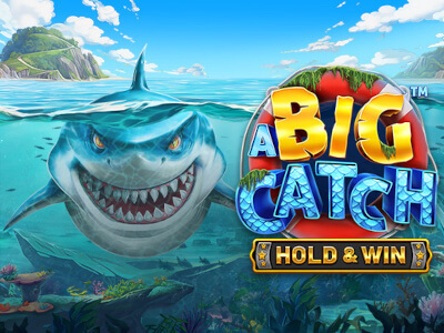 Bet365 big brother brasil